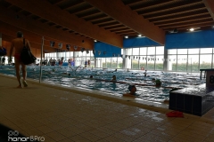 Gara Nuoto 2